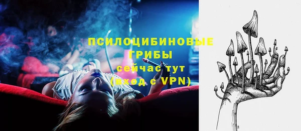 ECSTASY Алексин