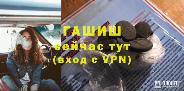 прущие грибы Абаза