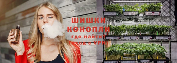 гидра Лагань
