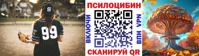 где купить   Азнакаево  Галлюциногенные грибы GOLDEN TEACHER 